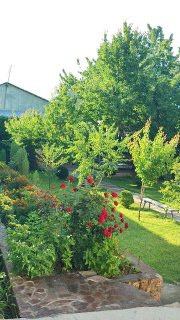 Dacha Chorvoq