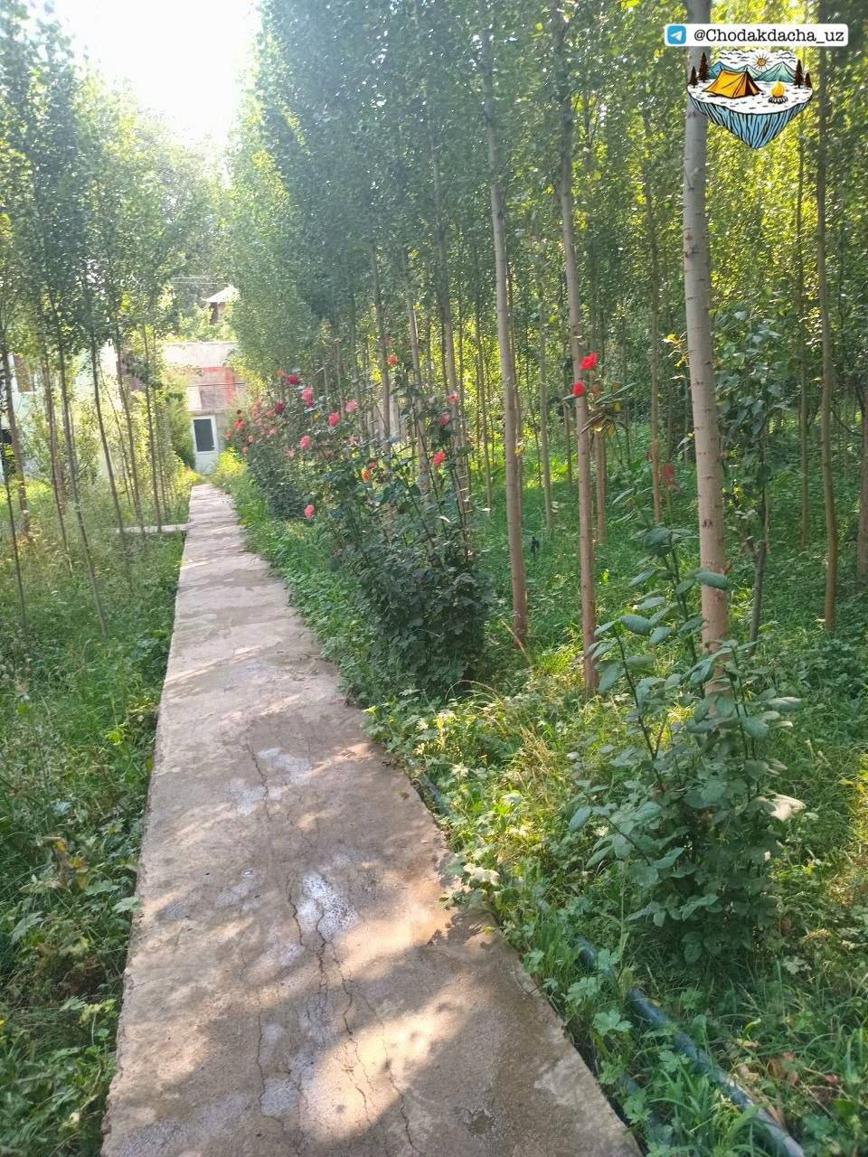 Dacha 128 Chodakdacha Chodak dacha — Chodak Pop tumani — galereya rasm 9/10 | Dachala.uz
