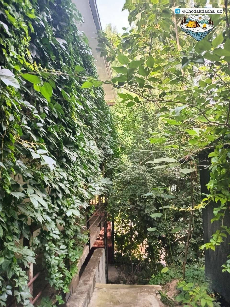 Dacha 128 Chodakdacha Chodak dacha — Chodak Pop tumani — galereya rasm 4/10 | Dachala.uz
