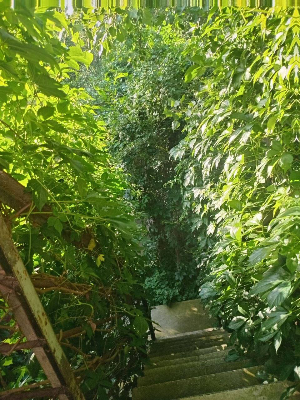 Dacha 128 Chodakdacha Chodak dacha — Chodak Pop tumani — galereya rasm 6/10 | Dachala.uz