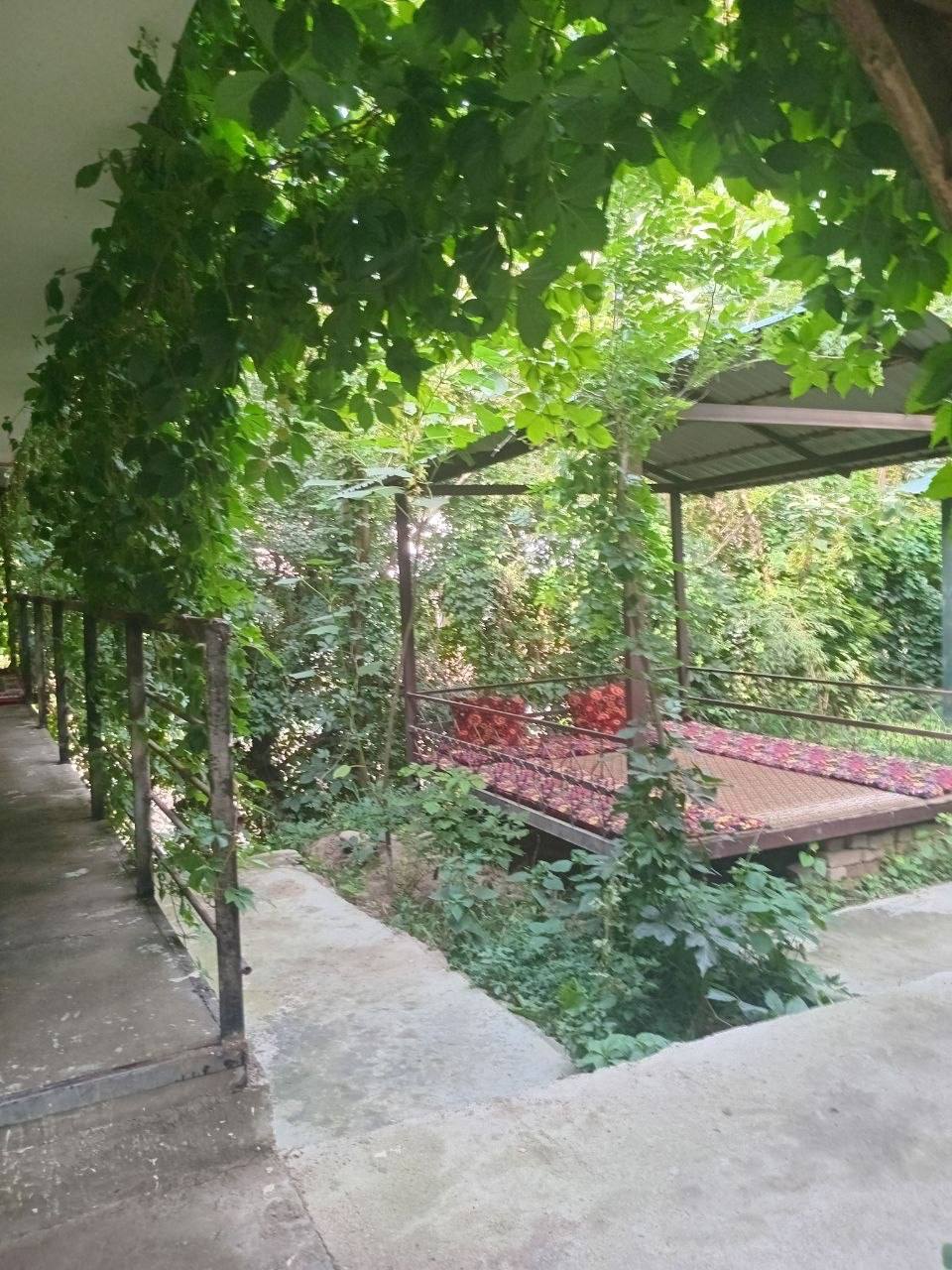 Dacha 128 Chodakdacha Chodak dacha — Chodak Pop tumani — galereya rasm 8/10 | Dachala.uz