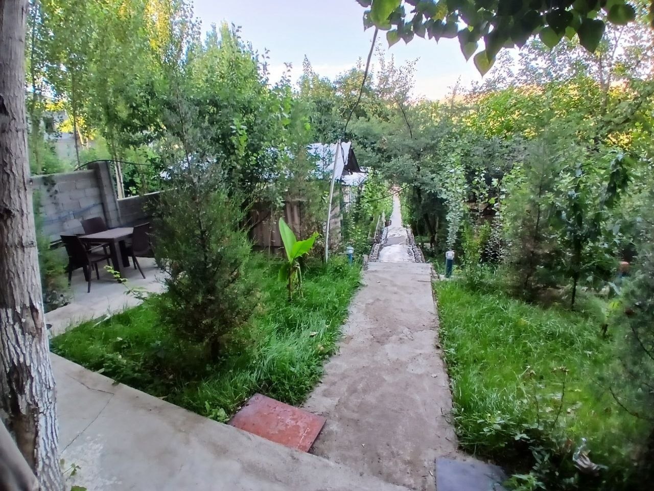 Dacha 146 Manzara Dachasi Chodak dacha — Chodak Pop tumani — galereya rasm 6/9 | Dachala.uz