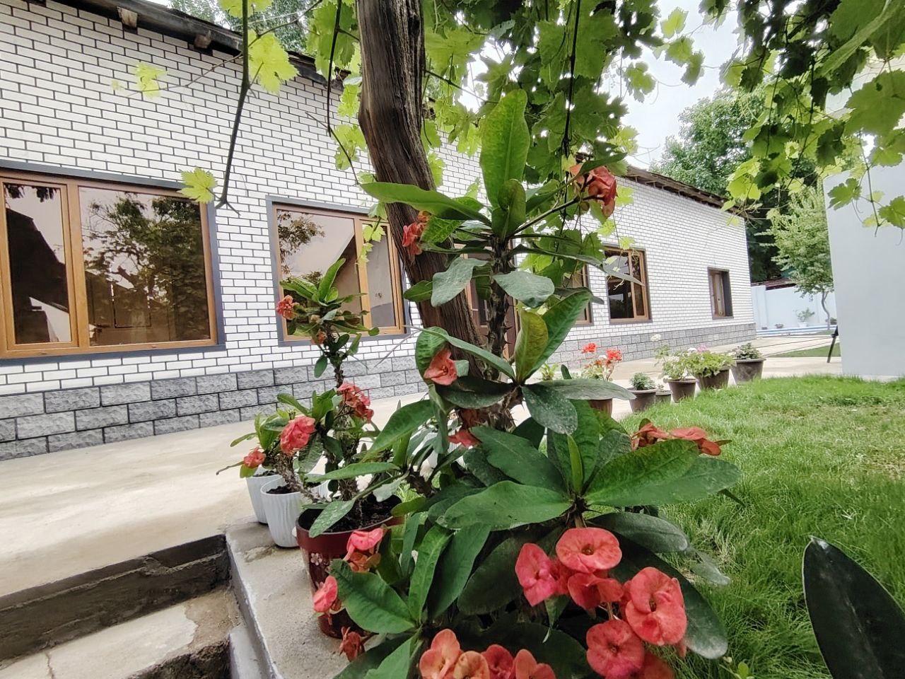 Бурчмулла (Яккатут ) dacha — Yakkatut Бурчмулла — galereya rasm 2/13 | Dachala.uz