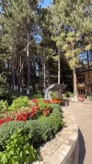 Xumsonda yoz bu alohida bir kayfiyat!