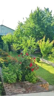 DACHA Charvak