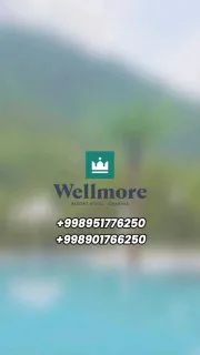 WELLMORE