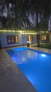 Bush mini xavis 2