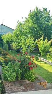 Dacha Chorvoq