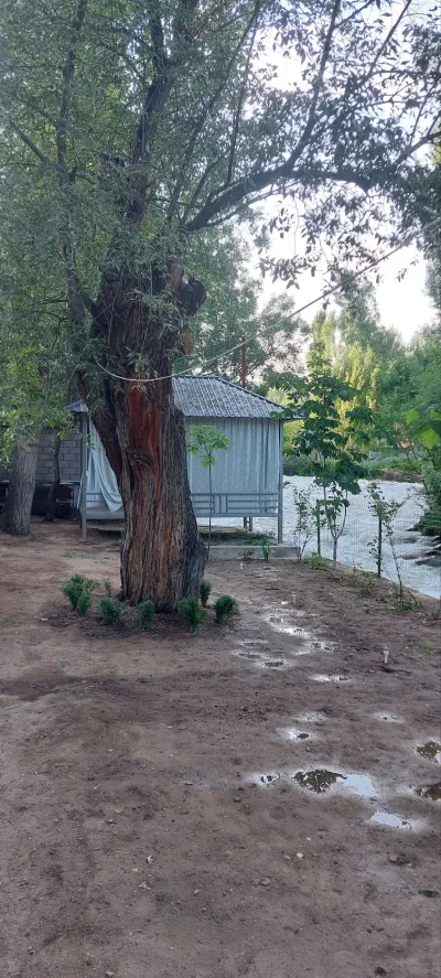 Chodakdacha — Chodak