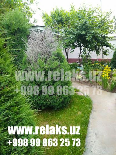 ID 048 Donyor kichik dacha