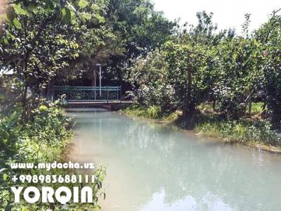 ID 053 Дача в газалкенте