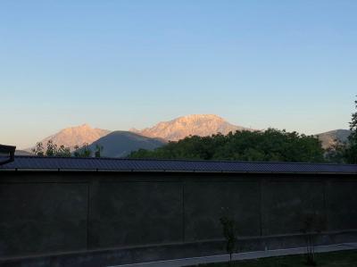 ID 225 Янги дача - чорвок дачалари