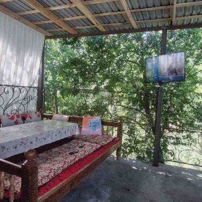 ID 305 Обиджон дачаси (Бурчмулла)