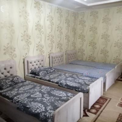 ID 253 Baxtiyor Дача