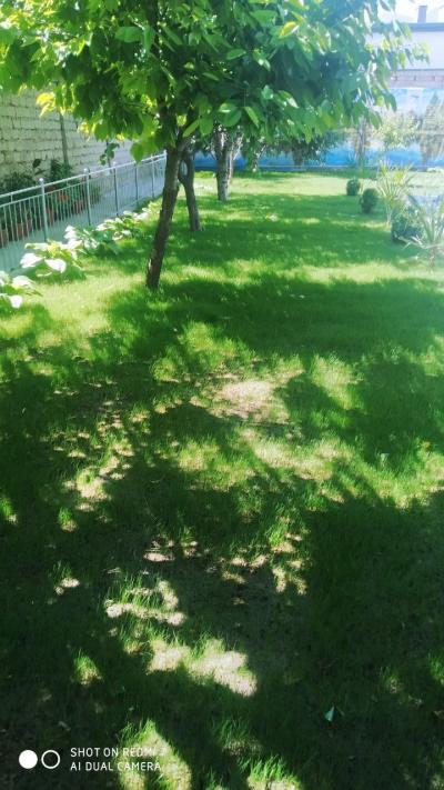 ID 267 Донёр дачаси