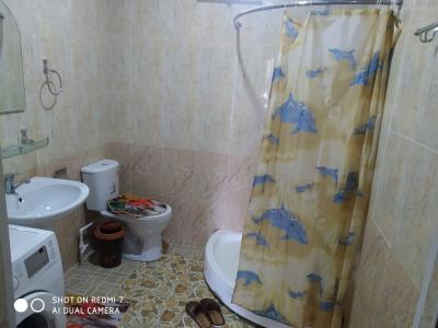 ID 215. Комилжон - чорвокдаги дача