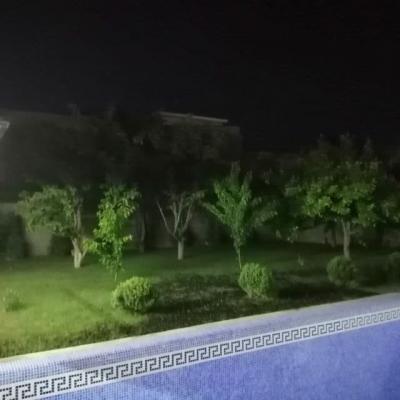 ID 253 Baxtiyor Дача