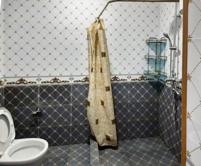 ID 219 Робия - дача в чарваке