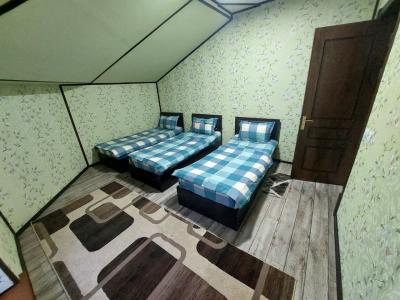 ID 224 Дача Хумсан - Кислород