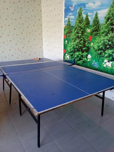 ID 290 Dil Orom dachasi