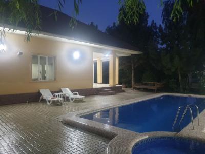 ID 290 Dil Orom dachasi