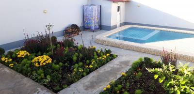 ID 136S Оилавий дача