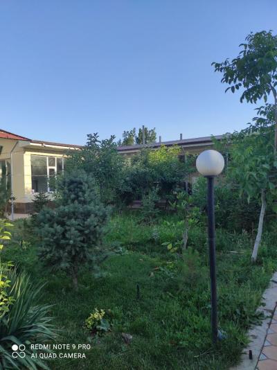 ID 218 - Оилавий дача