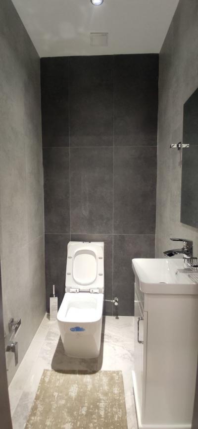 ID 244 Hitech дача