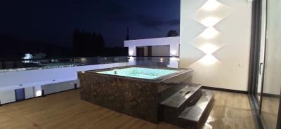 ID 244 Hitech дача