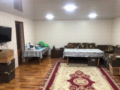 227 Baraka dachasi (katasi) - Bugunga bush Humson.