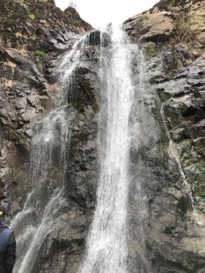 ID 115 EuroDacha (Акташ)