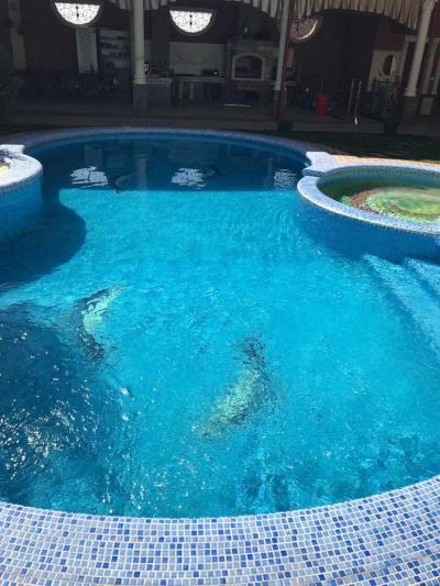 ID 115 EuroDacha (Акташ)