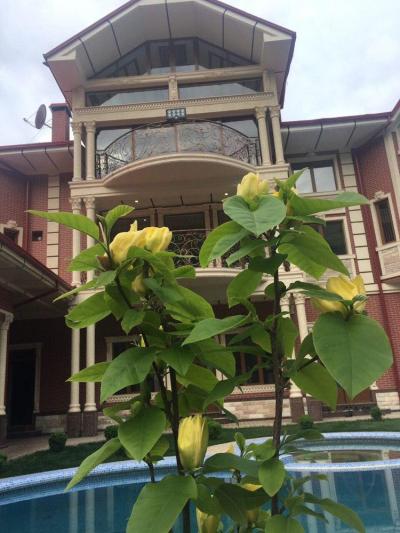 ID 115 EuroDacha (Акташ)