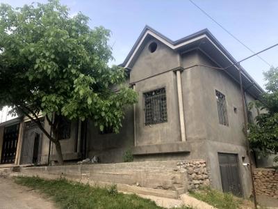 ID 233 Oqtosh Family дачаси