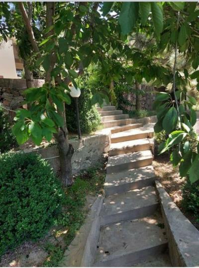 ID 236 &rdquo;Xojiona&rdquo; dachasi - аренда дача