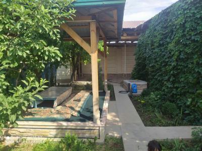 ID 242 Дача Чарвак