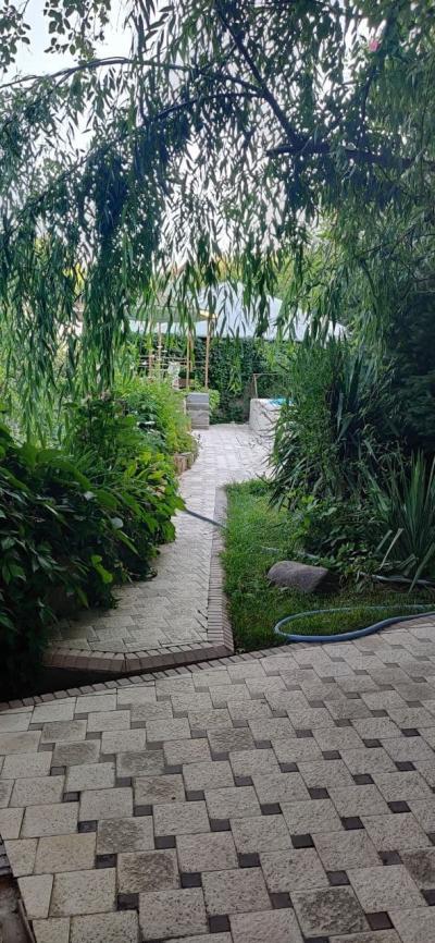 ID 243 Манзарали дача - Чарвак