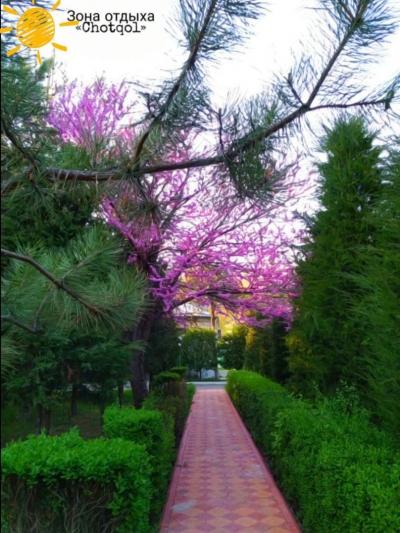 Chotqol sanatoriyasi.