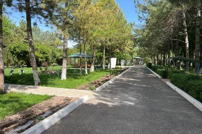 Chotqol sanatoriyasi.