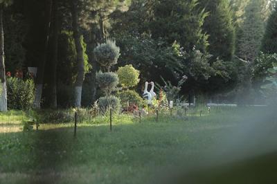 Chotqol sanatoriyasi.