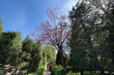 Chotqol sanatoriyasi.