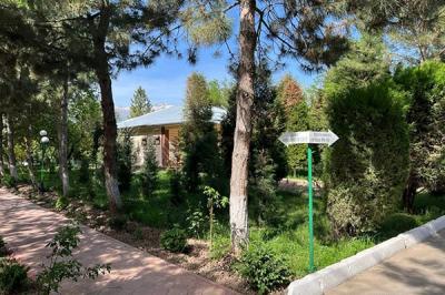 Chotqol sanatoriyasi.