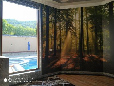 ID 224 Дача Хумсан - Кислород