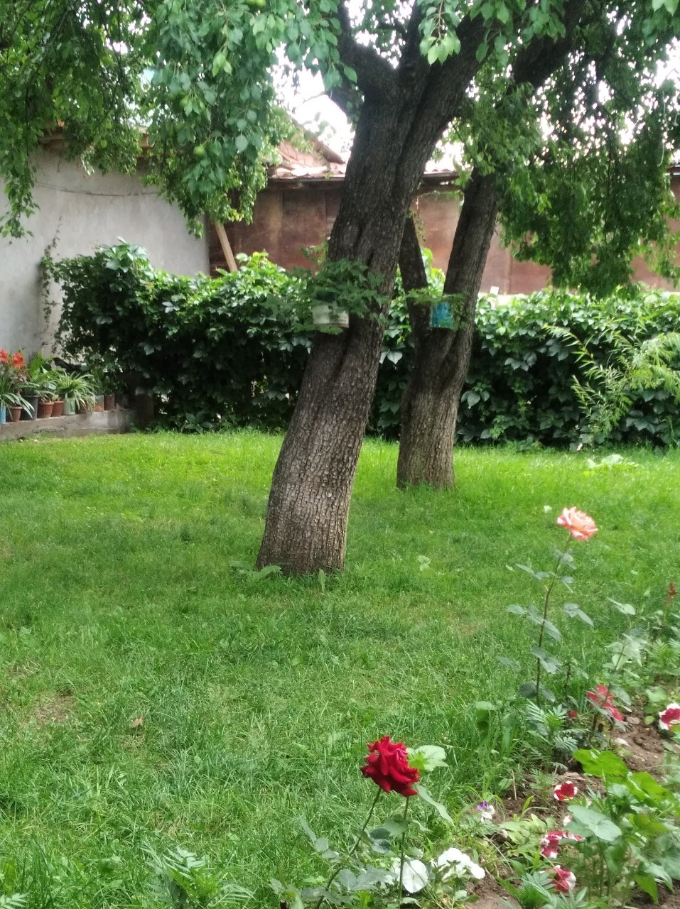 Дачи по низким ценам